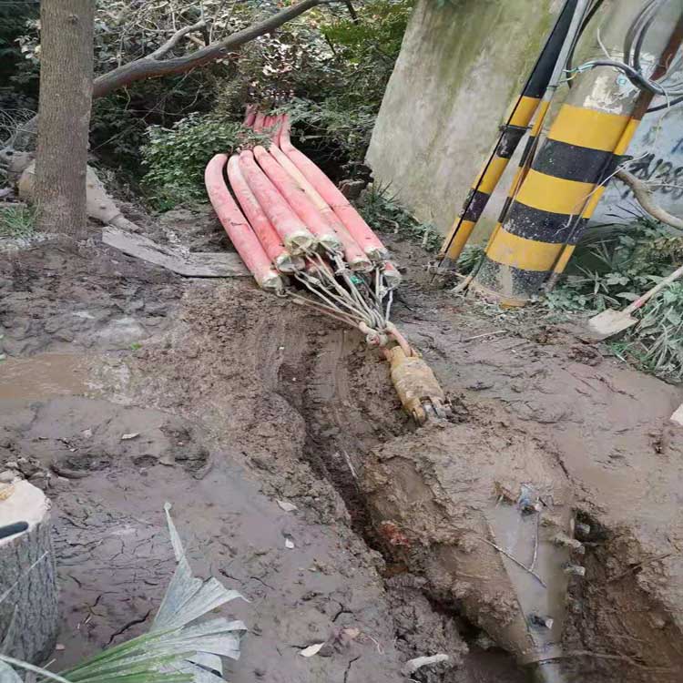 虎门港管委会拖拉管